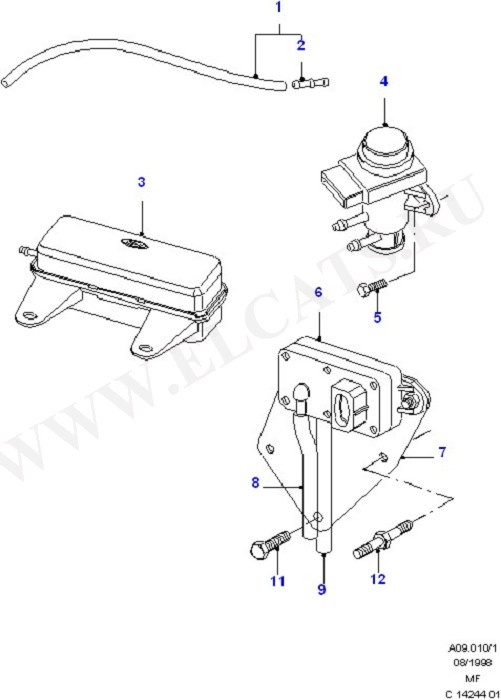 Emission Control - Vacuum Lines (Modular Engine)