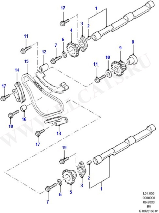 Balance Shafts And Drive (Engine/Block And Internals)