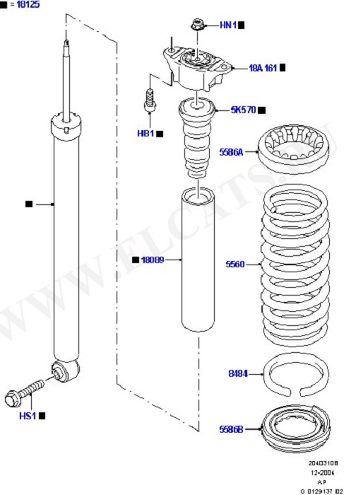 Rear Springs And Shock Absorbers (Springs/Struts & Shock Absorbers)
