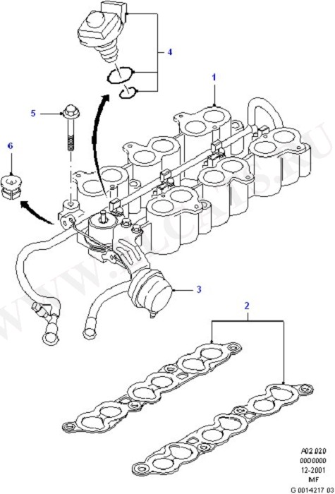 Cylinder Head/Valves/Manifolds/EGR (Modular Engine)
