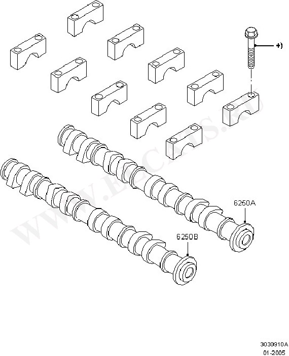 Timing Gear, Camshafts & Drive ( )