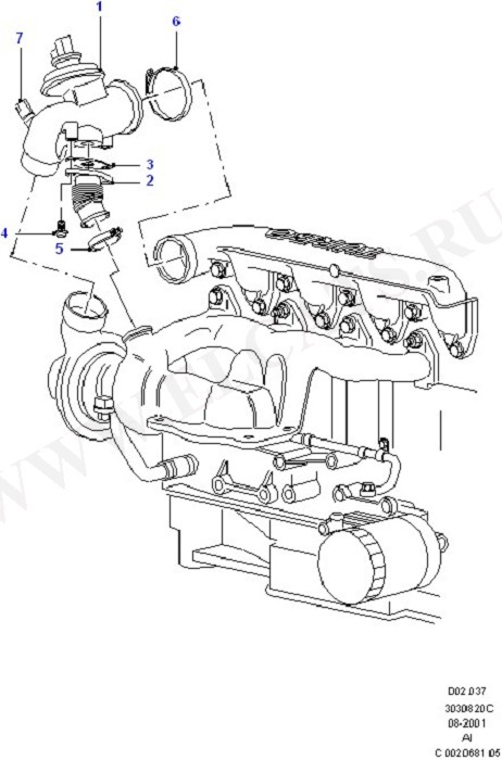 Cylinder Head/Valves/Manifolds/EGR (Lynx Engine)