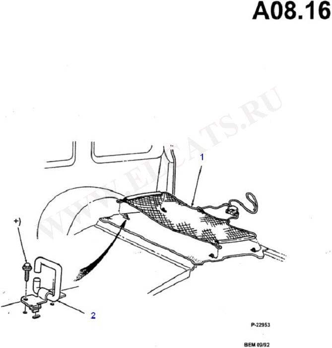 Luggage Hold Down Net (Tailgate And Related Parts)