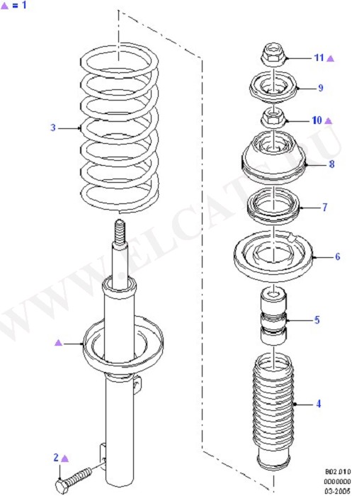 Front Suspension Struts And Springs (Front Suspension Struts And Springs)