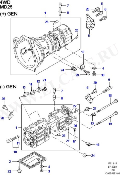 Transmission & Transfer Drive Case (Manual Transaxle And Case)