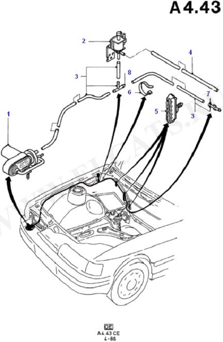 Vacuum Pump And Hoses (Dash Panel/Apron/Heater/Windscreen)