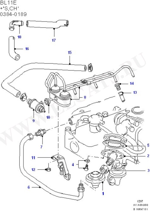 Emission Control - Vacuum Lines (OHV/HCS)