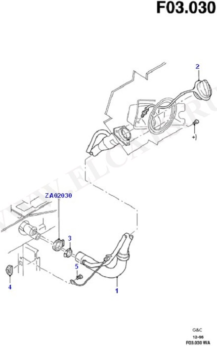 Fuel Tank Filler Housing (Fuel Tank & Related Parts)