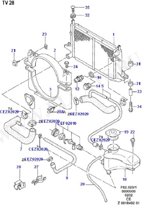 Radiator/Coolant Overflow Container (Radiator / Hoses And Oil Cooler)