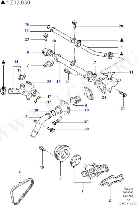 Water Pump & Connections/Thermostat (Radiator And Hoses)