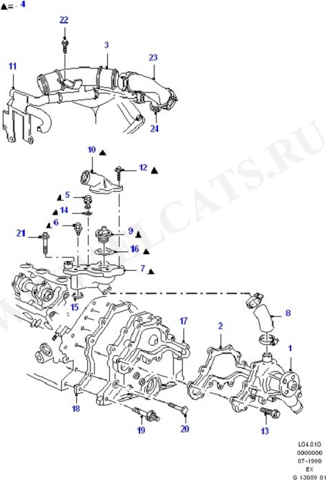 Water Pump & Connections/Thermostat (Engine Cooling)