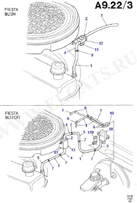 Emission Control - Vacuum Lines (OHV/HCS)