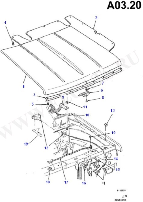 Hood (Radiator Grille,Front Bumper & Hood)