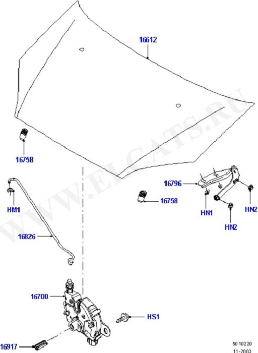 Hood And Related Parts (Front Body System)