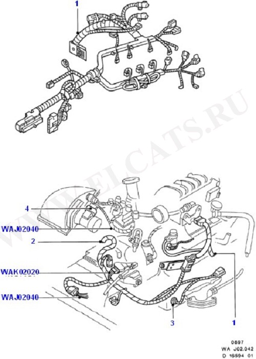 Engine Wiring (Wiring System & Related Parts)