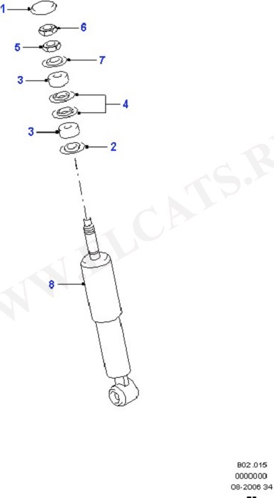 Front Springs/Front Shock Absorbers (   )