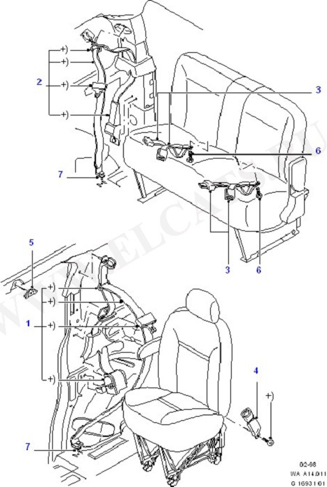 Rear Seat Belts ( )