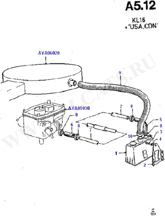 Fuel System - Engine (OHV/HCS)