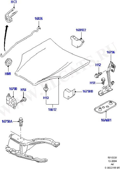 Hood And Related Parts (Front Body System)