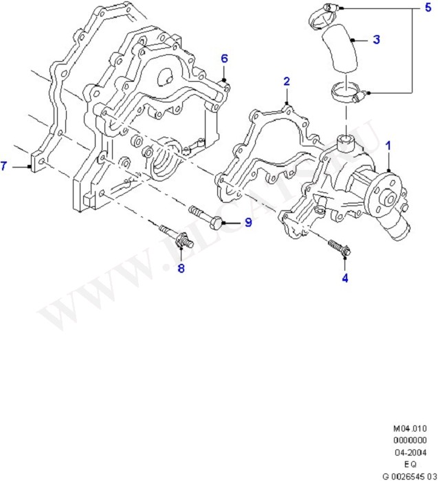 Water Pump & Connections/Thermostat (Engine Cooling)