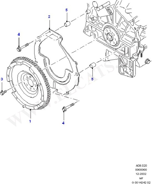 Clutch/Intermediate & Drive Plate (Modular Engine)