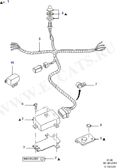 Engine Immobiliser (Wiring System & Related Parts)