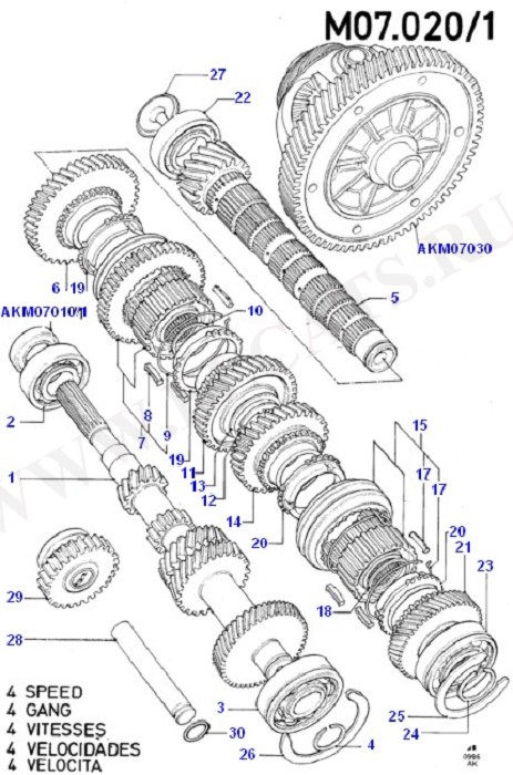 BC/MTX (Manual)