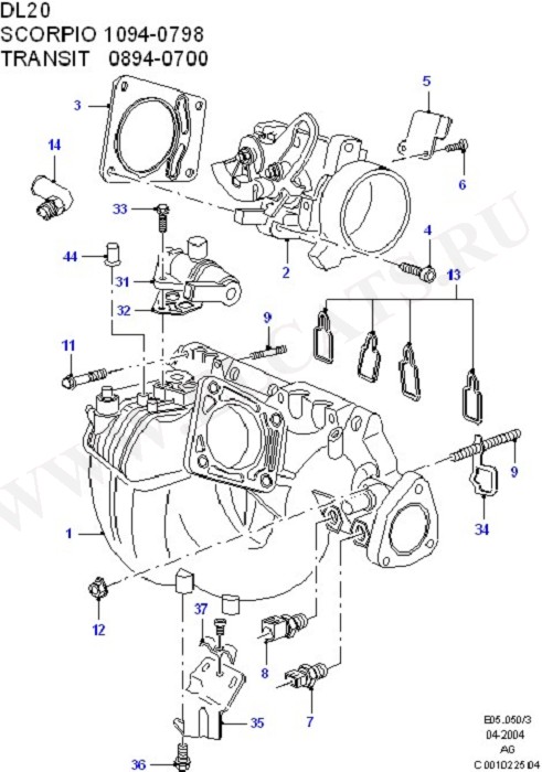 Fuel System - Engine (DOHC(DL/DH))