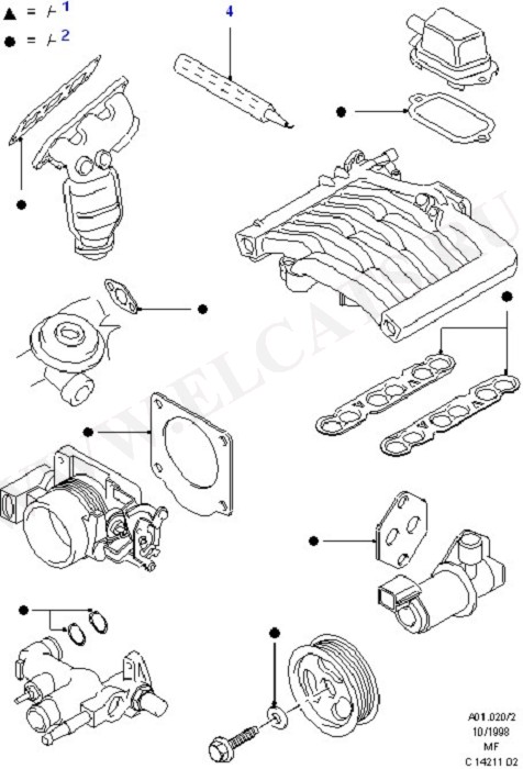 Engine/Block And Internals (Modular Engine)