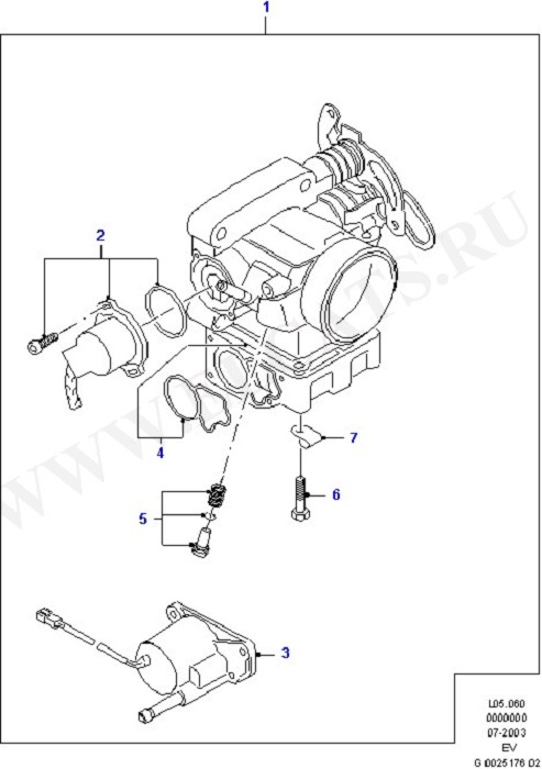 Throttle Assy, Petrol Engines (Fuel System - Engine)
