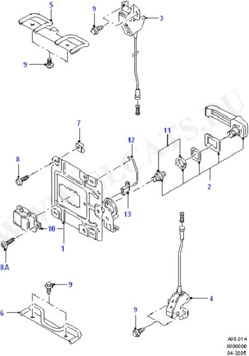 Double Rear Door Controls (Tailgate/Back Doors)