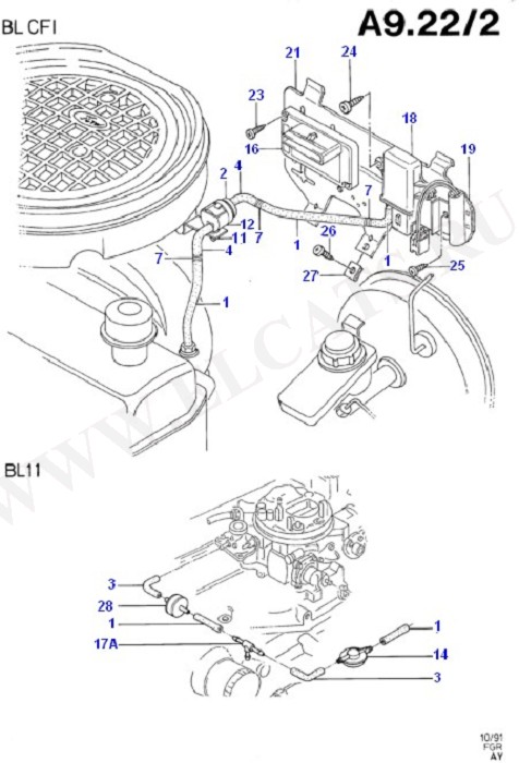 Emission Control - Vacuum Lines (OHV/HCS)