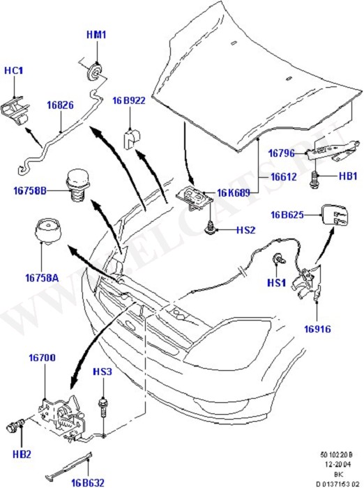 Hood And Related Parts (Front Body System)