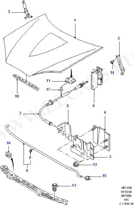 Hood (Radiator Grille,Front Bumper & Hood)