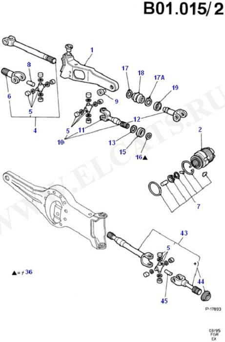 Front Axle Diff & Carr./Drive Shaft (Suspension And Axle - Front)