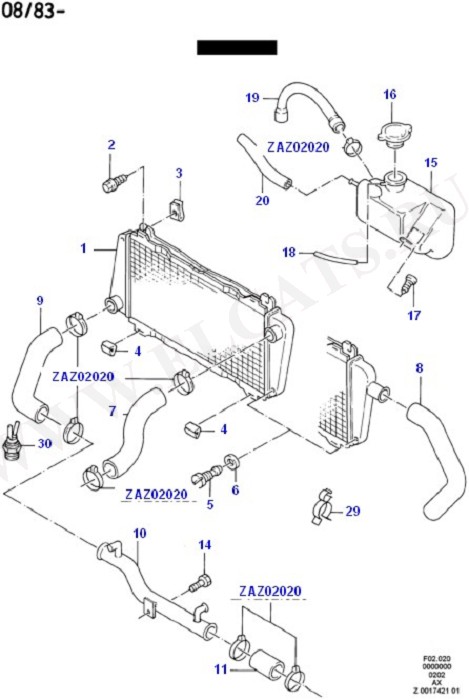 Radiator And Fan (Radiator And Hoses)