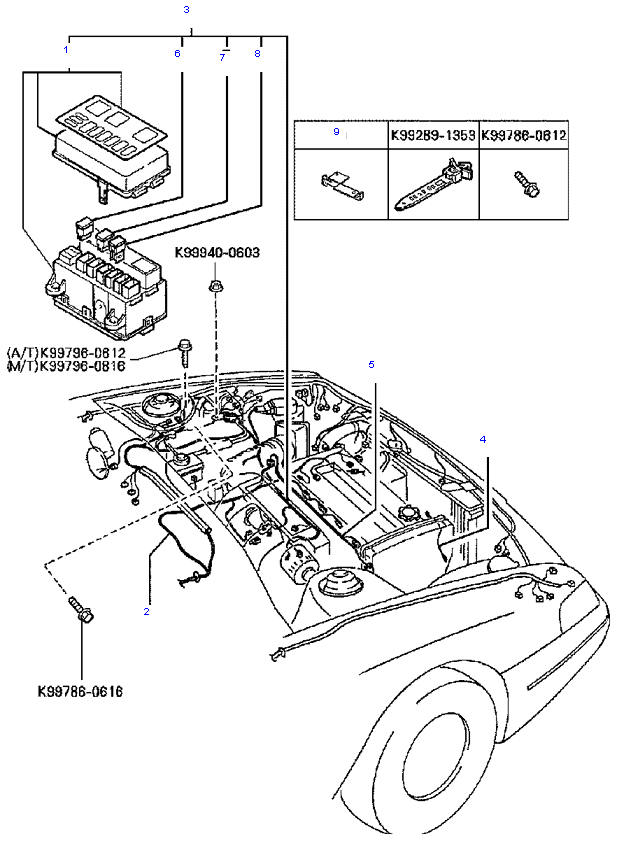  (  ) ( 1.6L )