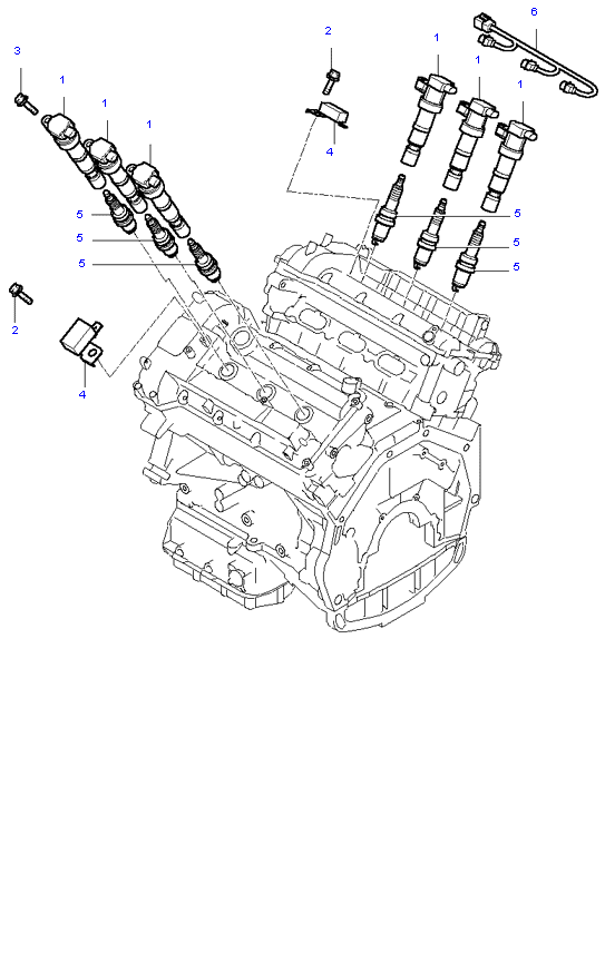 SPARK PLUG & CABLE ( 3.8L )