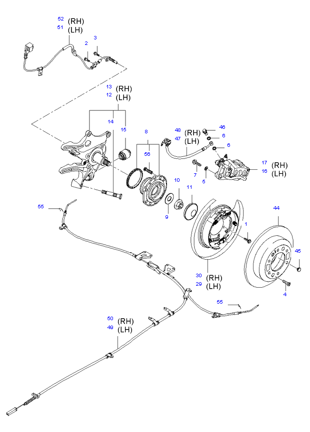 REAR WHEEL HUB & WHEEL BRAKE