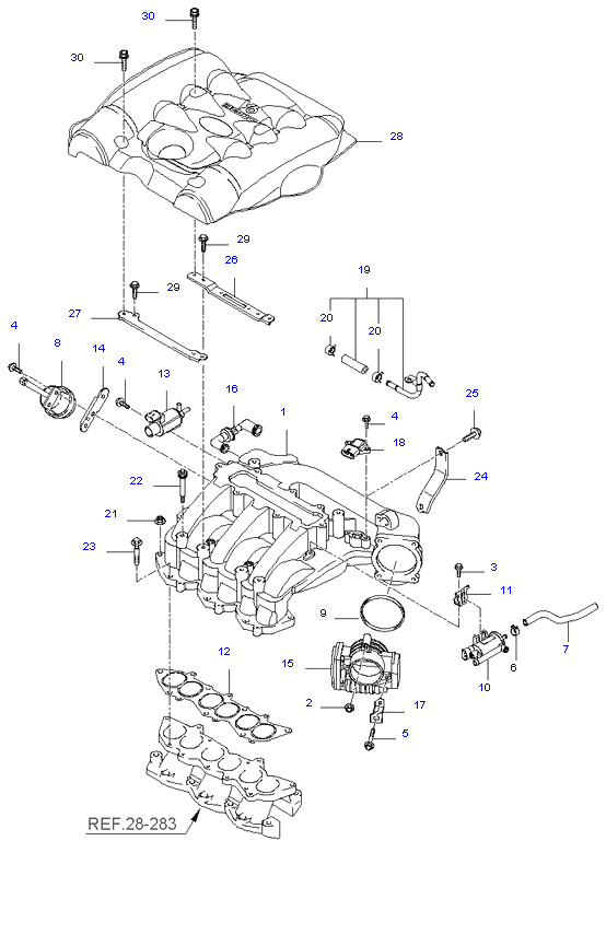 MUD GUARD & ENGINE COVER