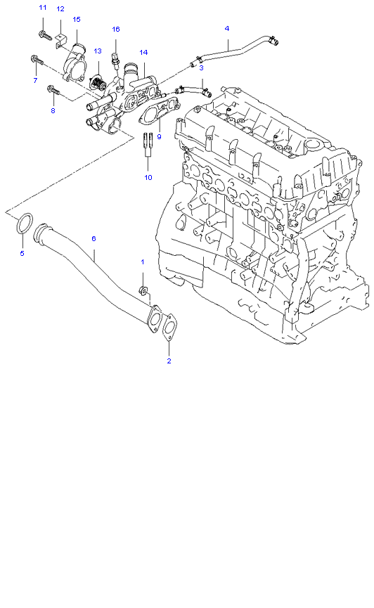  ( 2.0L )