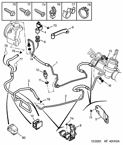 [40H] HP/BP ((4)   )